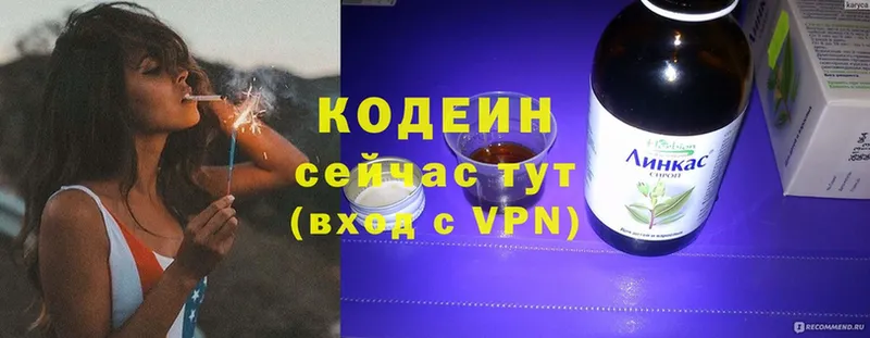 МЕГА маркетплейс  Владикавказ  Codein Purple Drank  купить наркотики сайты 